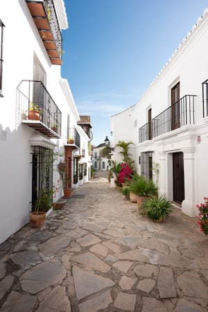 House in Nueva Andalucia - view 1