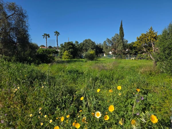 Land in Alcantarilha - view 1