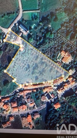 House in Mateus - view 1