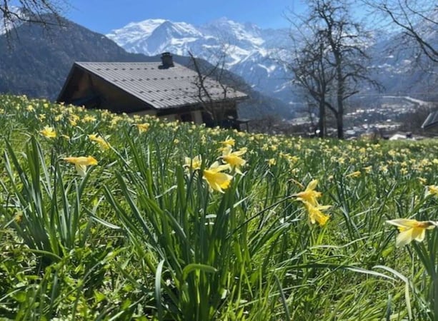 Land in Servoz - view 1