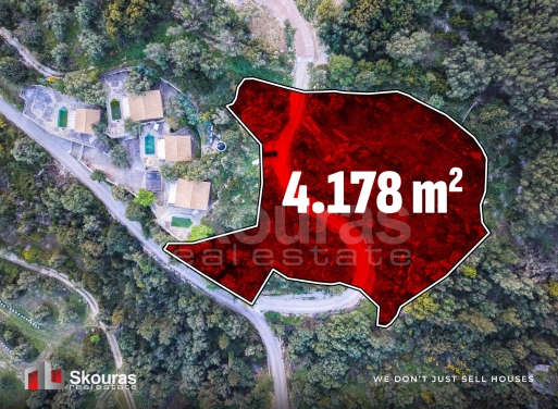 Land in Vasiliki - Image 2