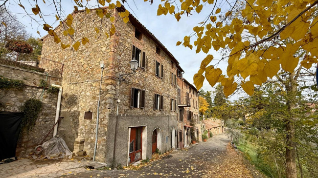 House in Ficulle - view 1