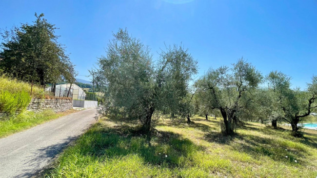 Land in Colfelice - view 1