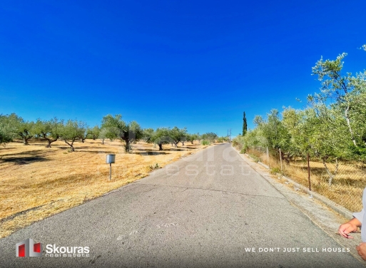 Land in Messenia - view 1