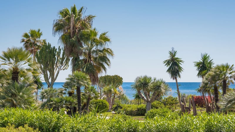 Apartment in Costalita - view 1