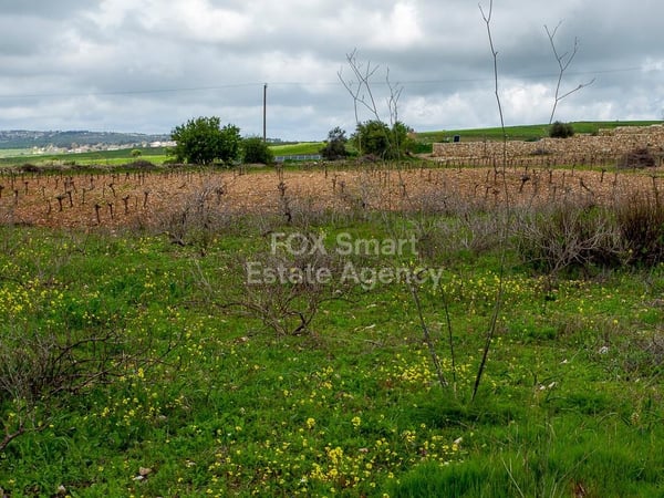 Land in Kathikas - view 1