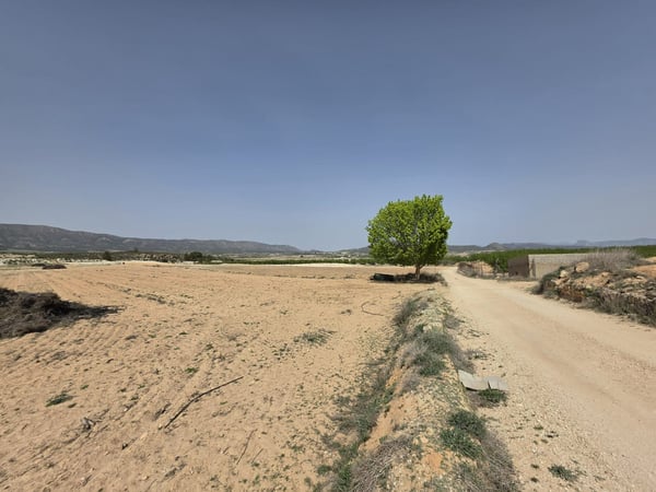 Land in Ubeda - view 1