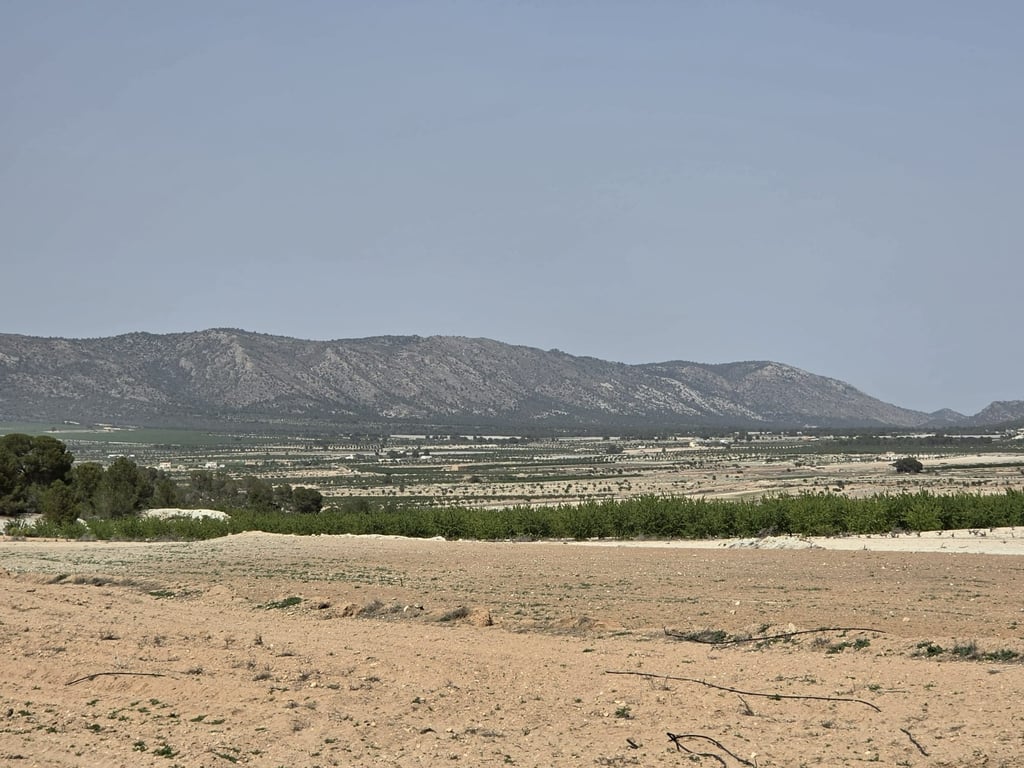 Land in Ubeda - Image 2