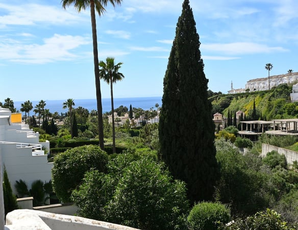 House in Sitio de Calahonda - view 1