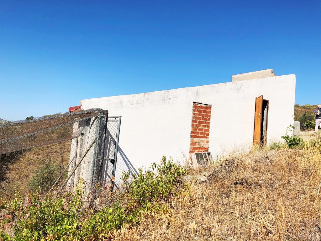 Land in Sedella - Image 2