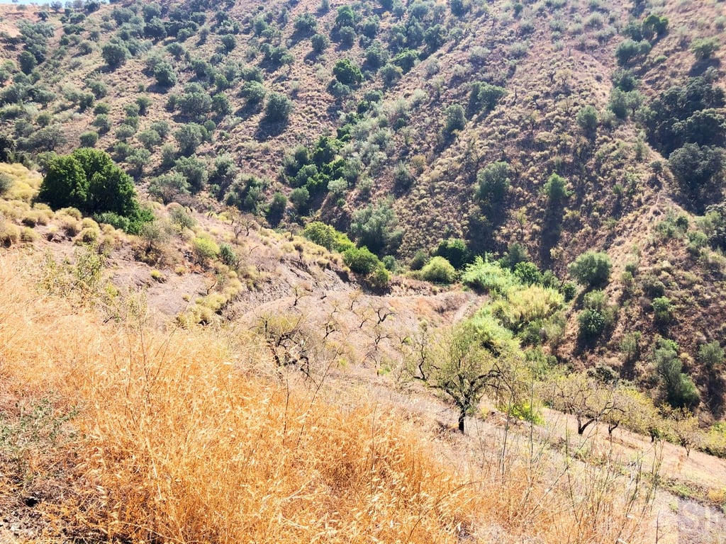 Land in Sedella - Image 3