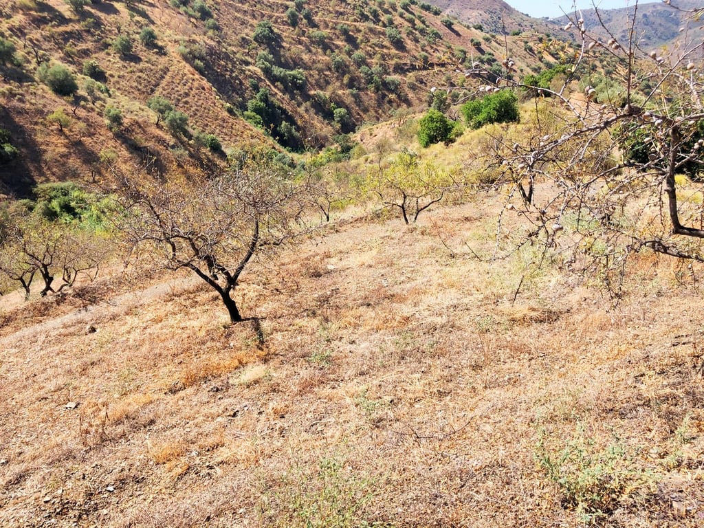 Land in Sedella