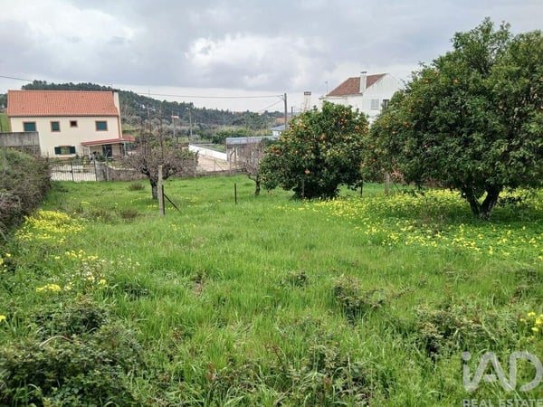 Land in Sobral do Campo - view 1