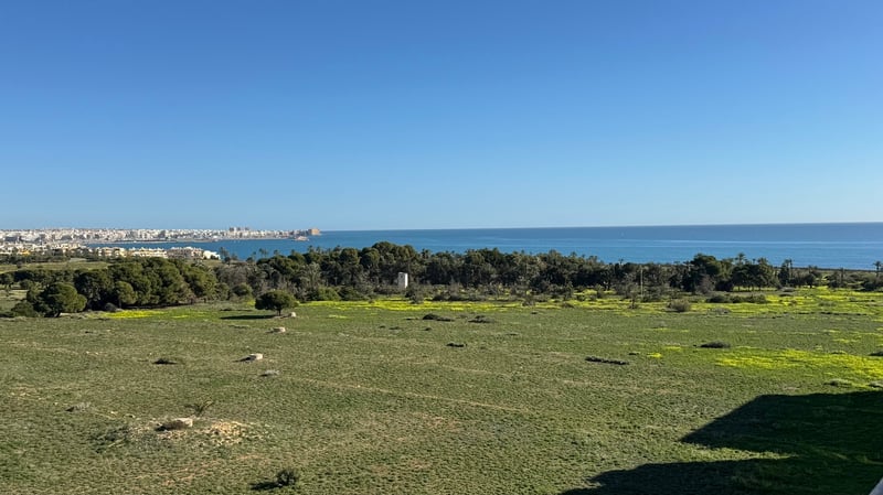 Penthouse in Villamartin - view 1