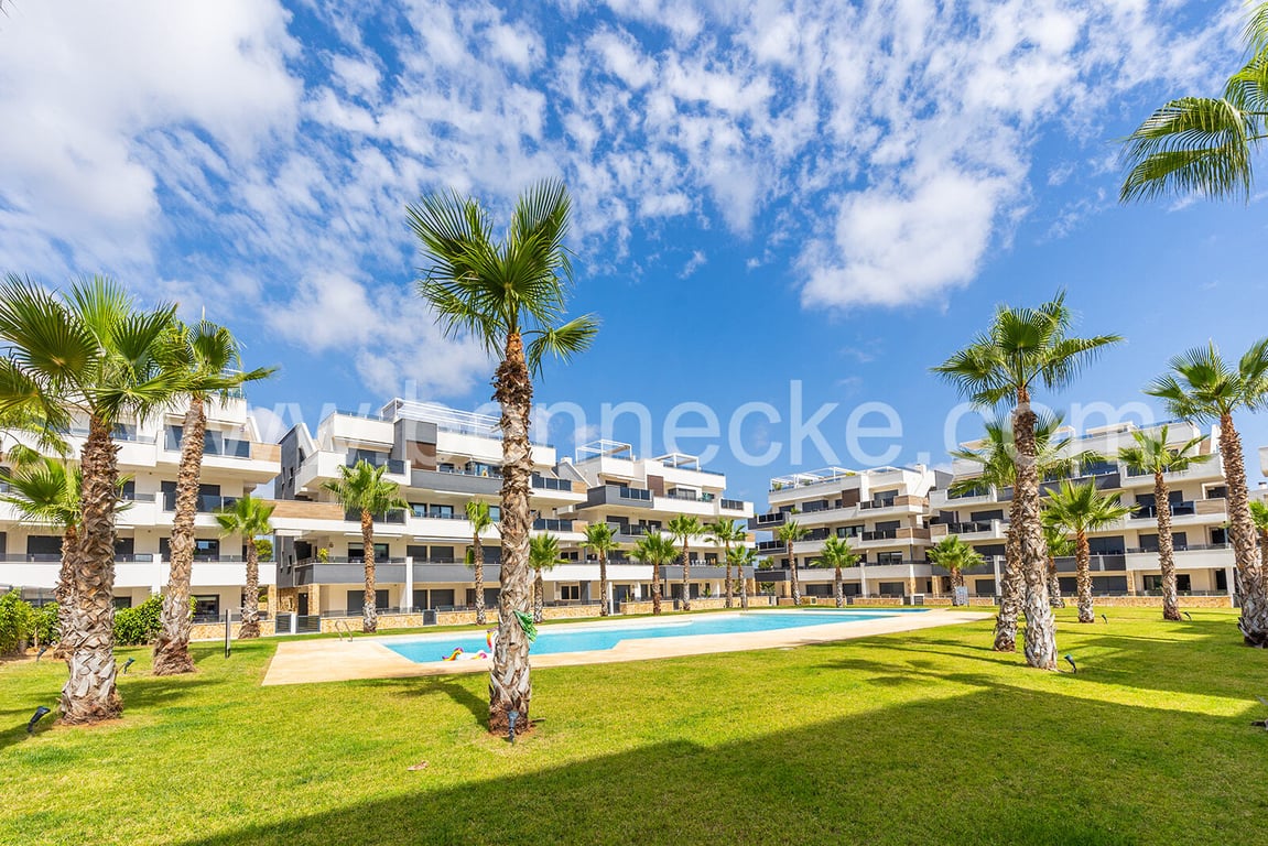 Apartment in Urbanizacion los Balcones - Image 3