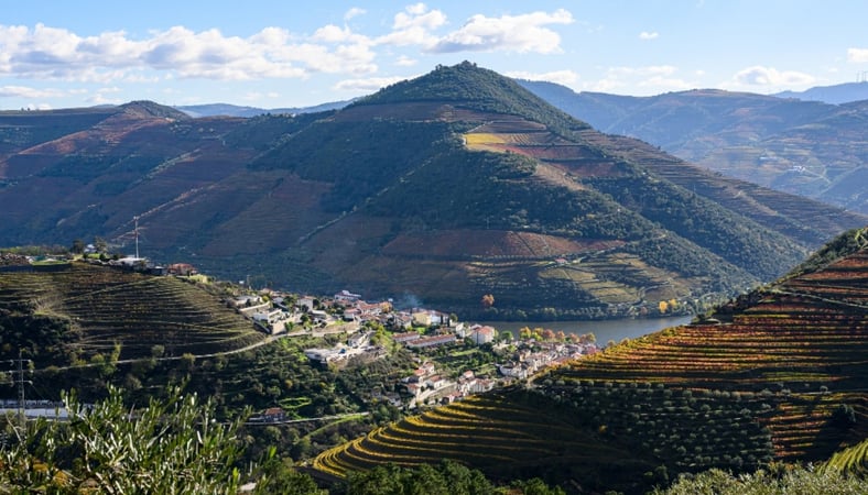 House in Sao Cristovao do Douro - view 1