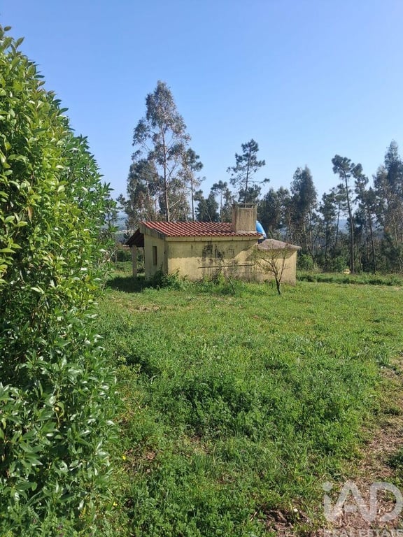 Land in Vestiaria - Image 2