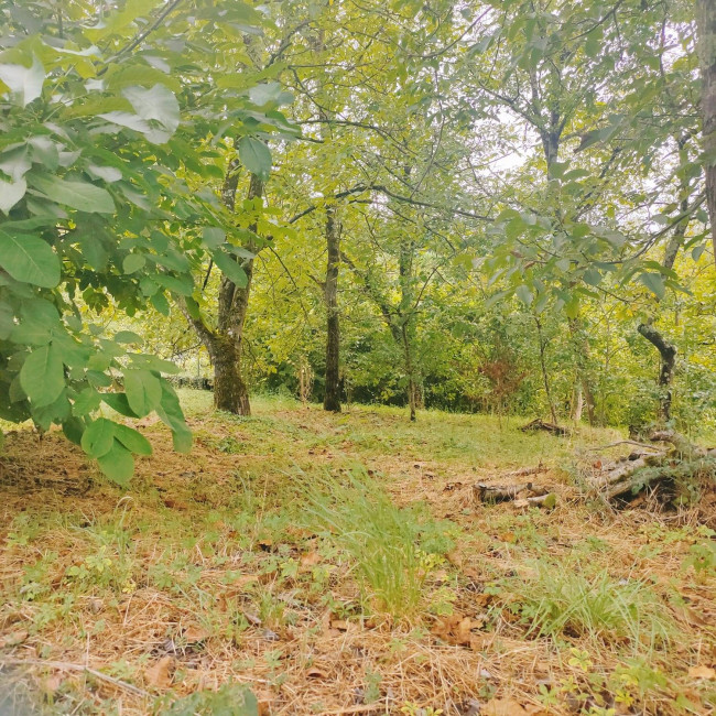 Land in Villafranca