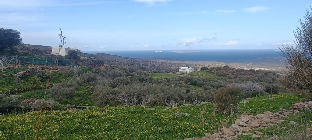 House in Chamezi - Image 2