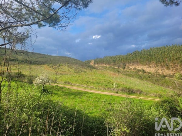 House in Sao Teotonio - view 1