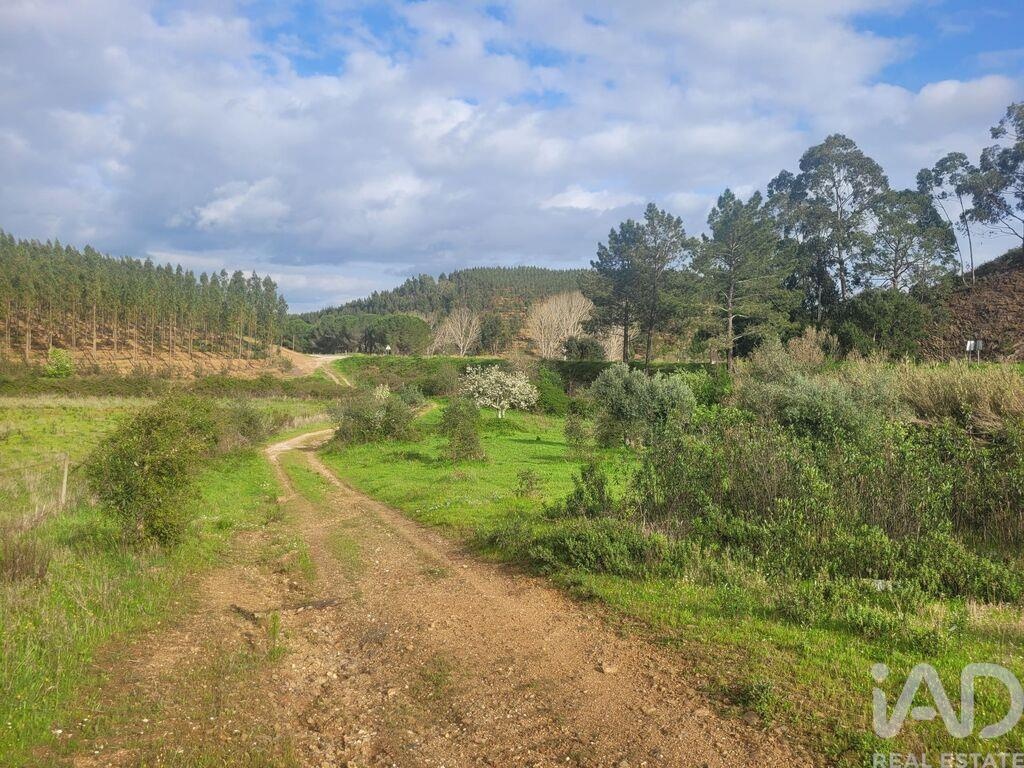 House in Sao Teotonio - Image 2