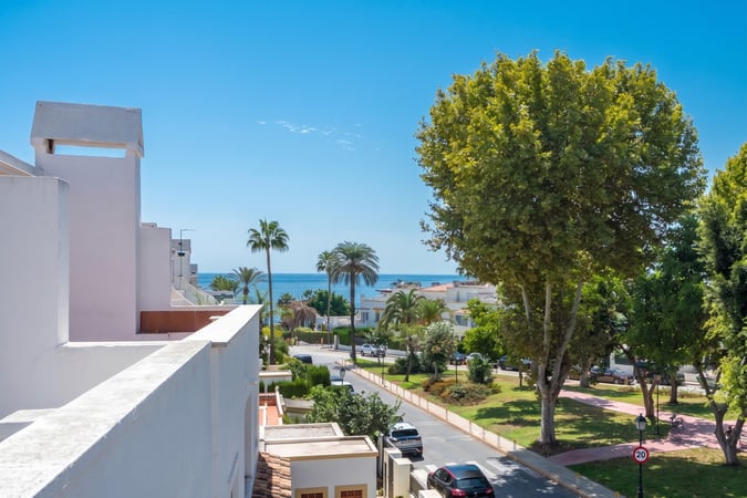 House in Nueva Andalucia - view 1