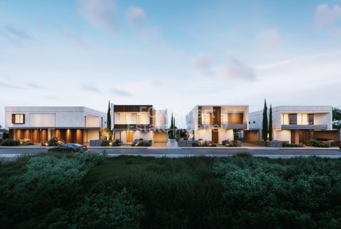 House in Chryseleousa - view 1