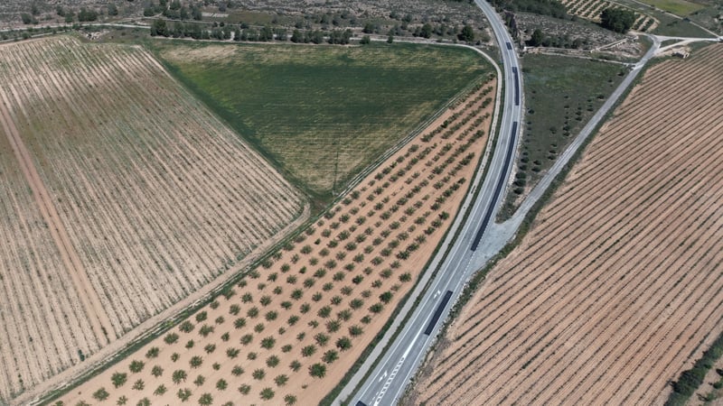 Land in Yecla - view 1