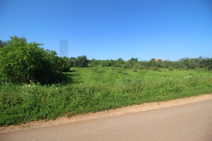 Land in Algoz - view 1