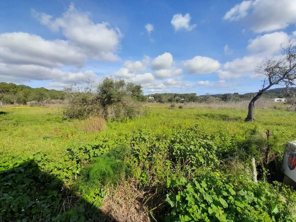 House in Santa Agnes de Corona - view 1