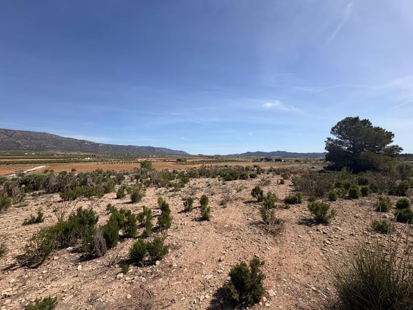 Land in Pinoso - view 1