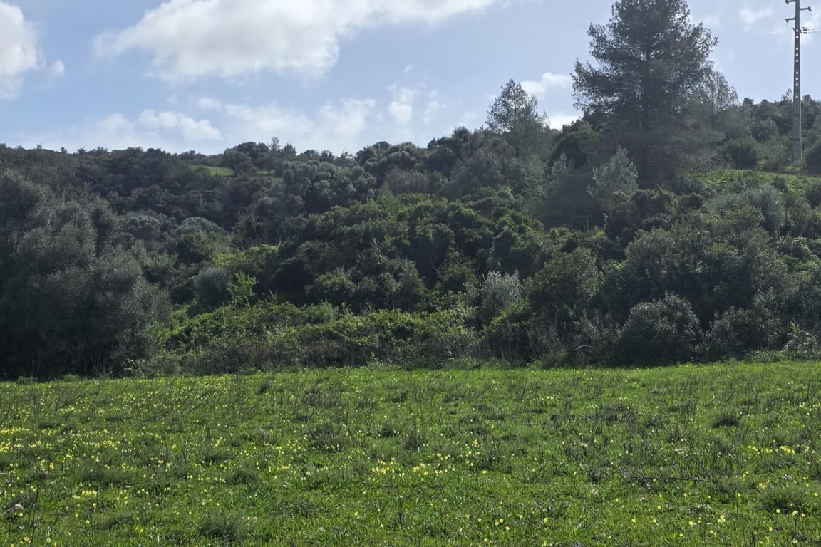 Land in Odiaxere - Image 3