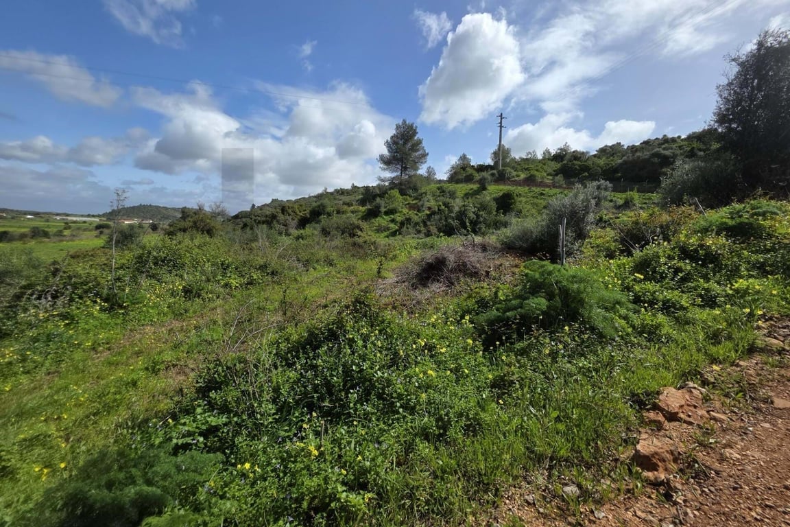 Land in Odiaxere - Image 2