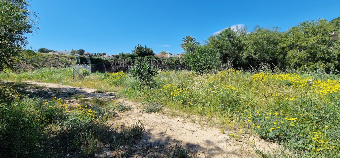 Villa in Alicante - Image 2