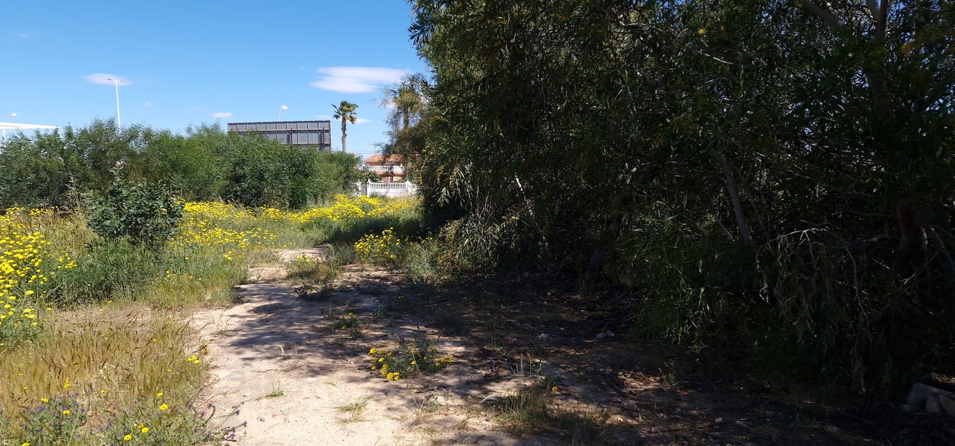 Villa in Alicante - Image 3