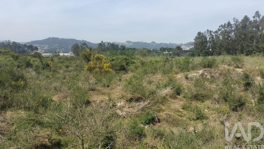 Land in Paredes - Image 3