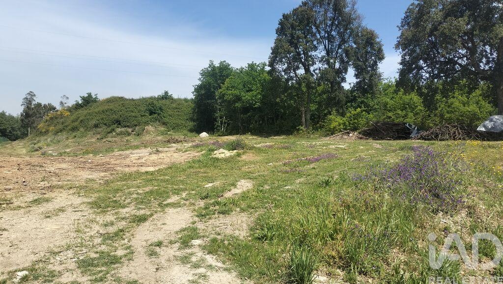 Land in Paredes - Image 3