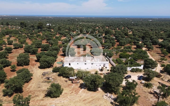 Villa in Fasano - view 1