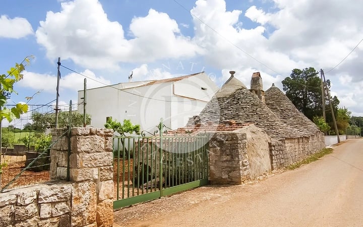 Villa in Alberobello - view 1