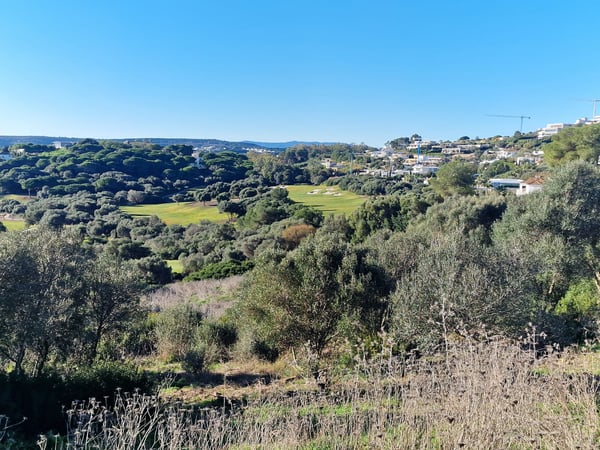 House in Sotogrande - view 1