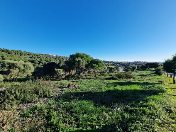 Land in Sotogrande - view 1
