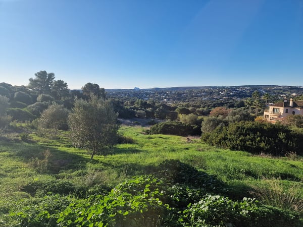 Land in Sotogrande - view 1