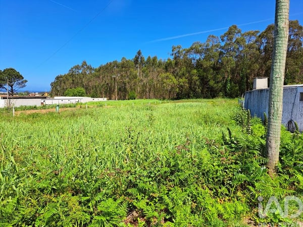 Land in Esmoriz - view 1