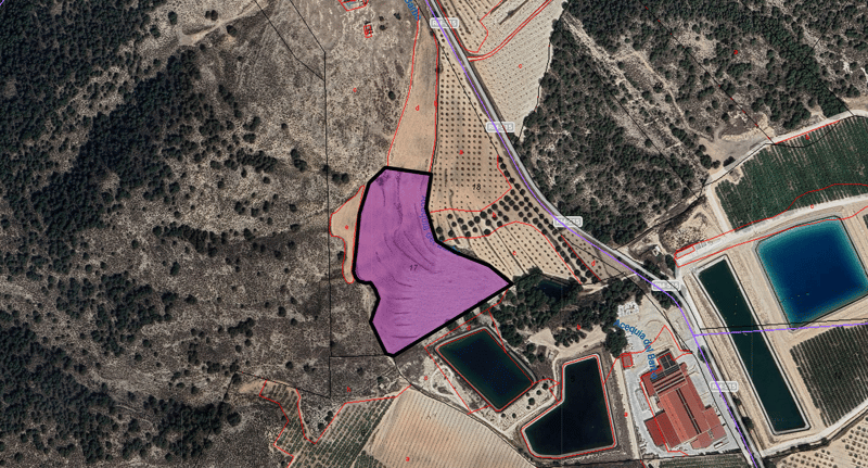 Land in El Berro - view 1