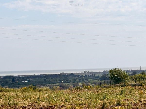 Land in Carovigno - view 1