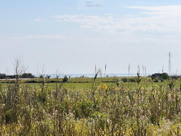 Land in Carovigno - view 1