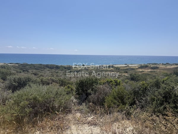 Land in Moni - view 1