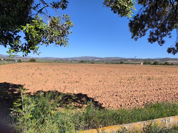 Land in Yecla - view 1