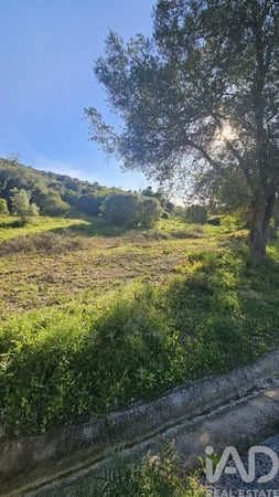 Land in Loule (Sao Clemente) - view 1