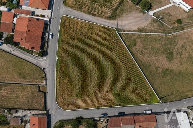 Land in Valega - view 1
